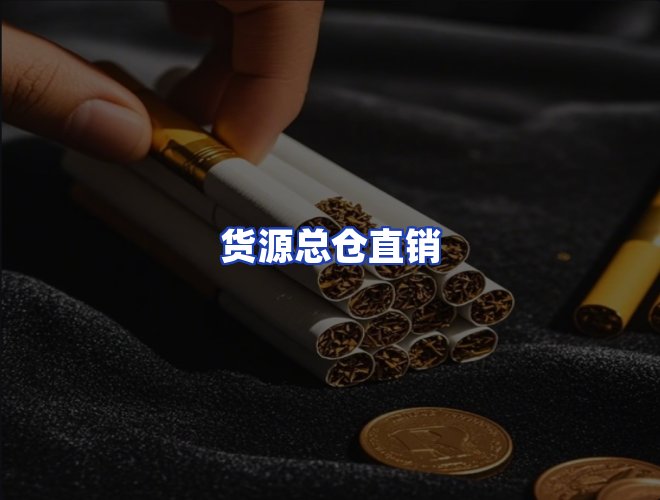 专业团队